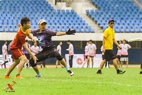 九游sports-极限飞盘国际赛，团队合作开创新纪元的简单介绍